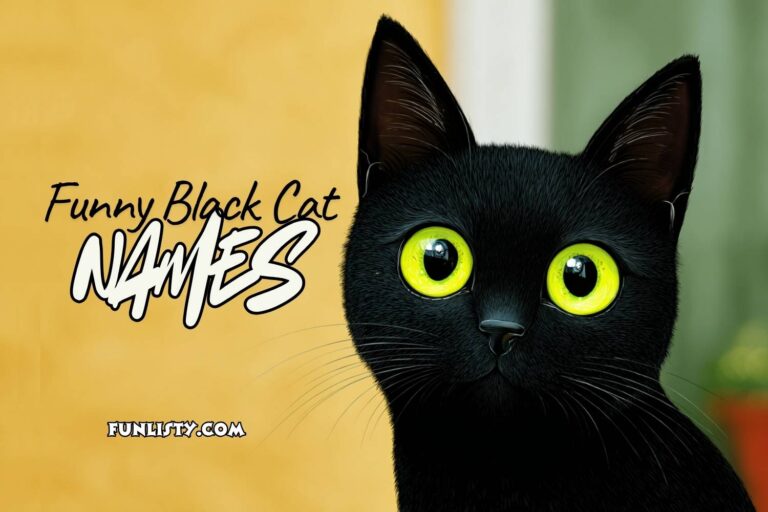 funny black cat names