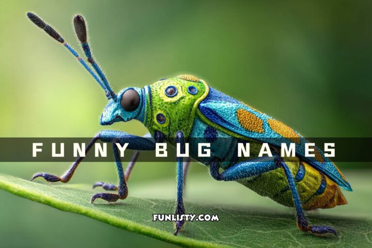 funny bug names