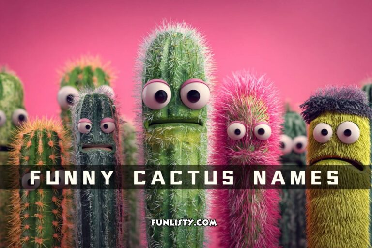 funny cactus names