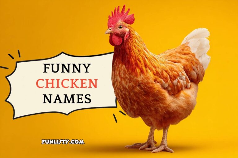 funny chicken names