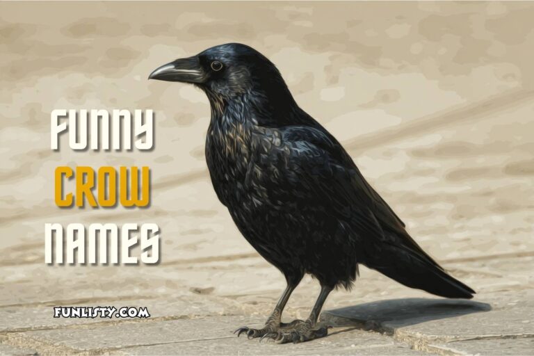 funny crow names