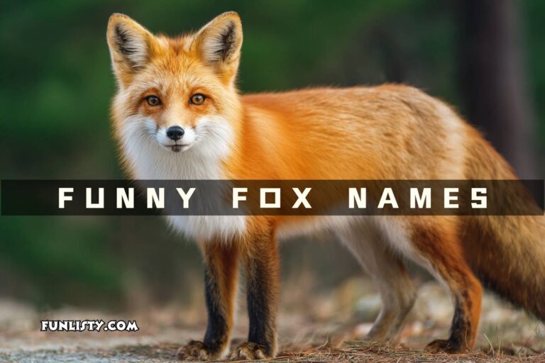funny fox names