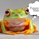 funny frog names