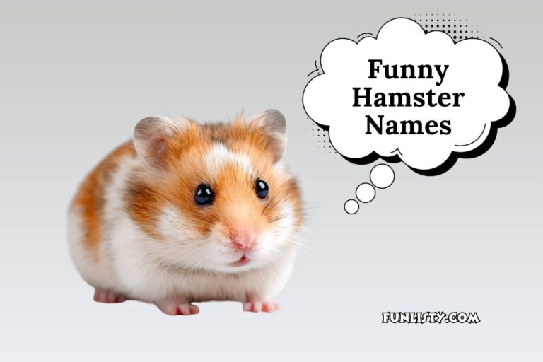 funny hamster names