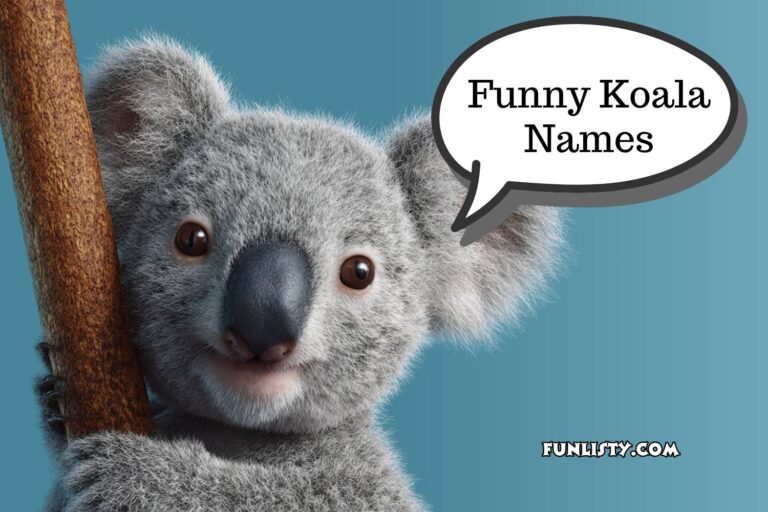funny koala names