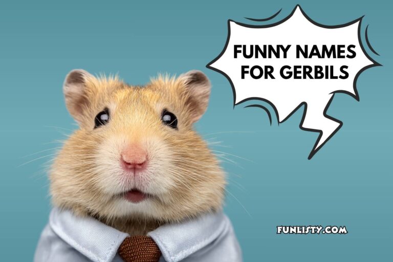 funny names for gerbils