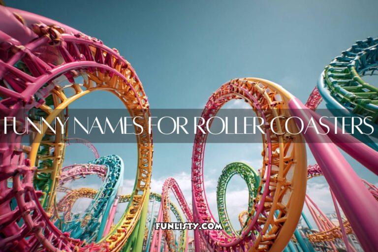funny names for roller coasters