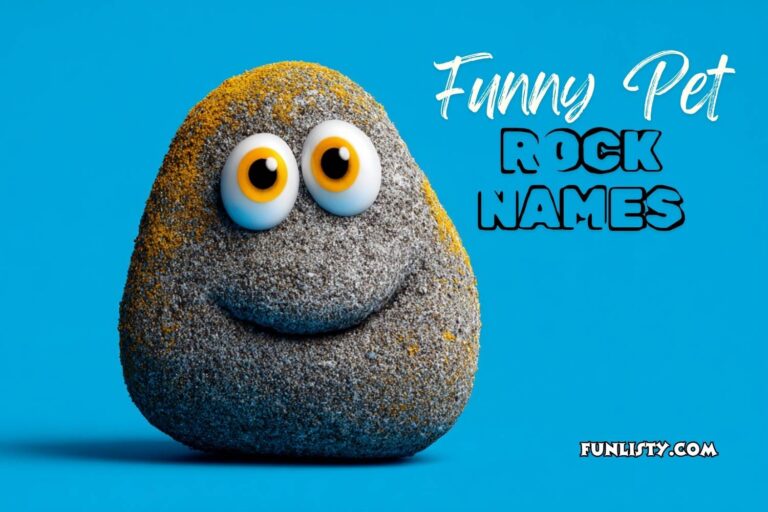 funny pet rock names