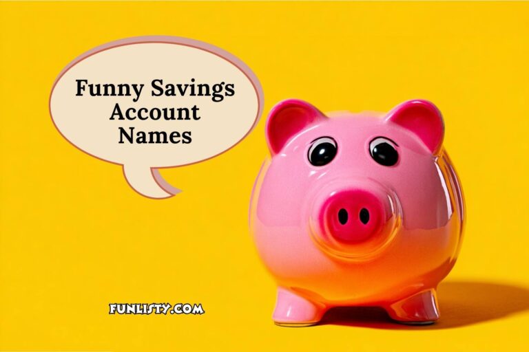 funny savings account names