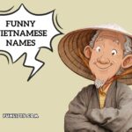 funny vietnamese names