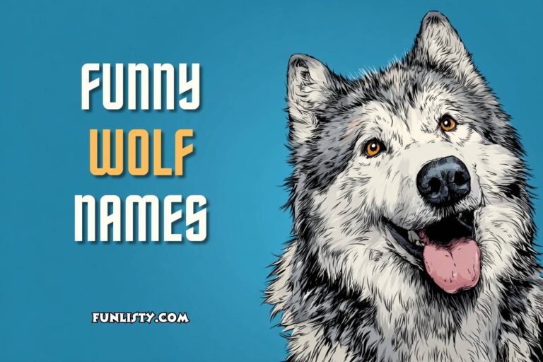 funny wolf names